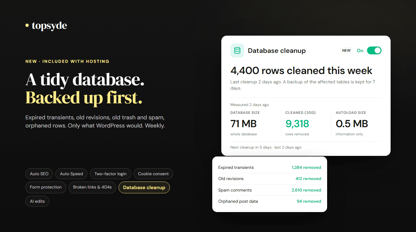 The TopSyde portal's database cleanup card showing rows cleaned this week and the categories removed, with a backup line